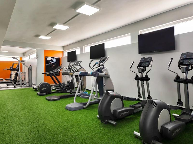 Gimnasio moderno con cintas de correr y elípticas sobre suelo alfombrado verde.