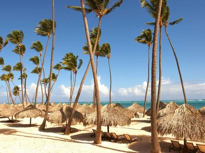 Strand met palmbomen en strooien ligstoelen onder een blauwe lucht aan zee