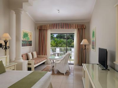 Jasny pokój hotelowy z łóżkiem, miejscem do siedzenia, telewizorem i balkonem z widokiem na zieleń.