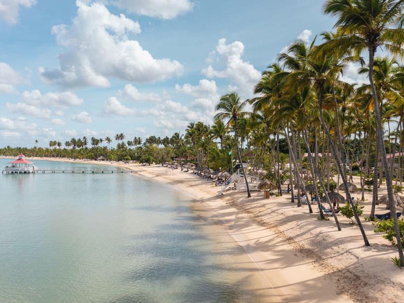 Plaża z wieloma palmami, czystą wodą i pochmurnym niebem na tropikalnym miejscu podróży.