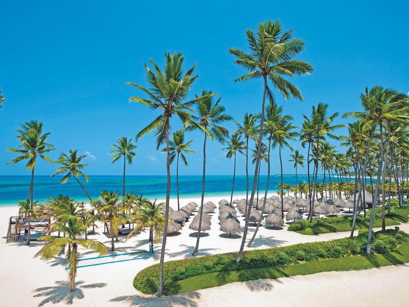 Strand met hoge palmbomen, ligstoelen en uitzicht op de turquoise zee onder een heldere hemel.