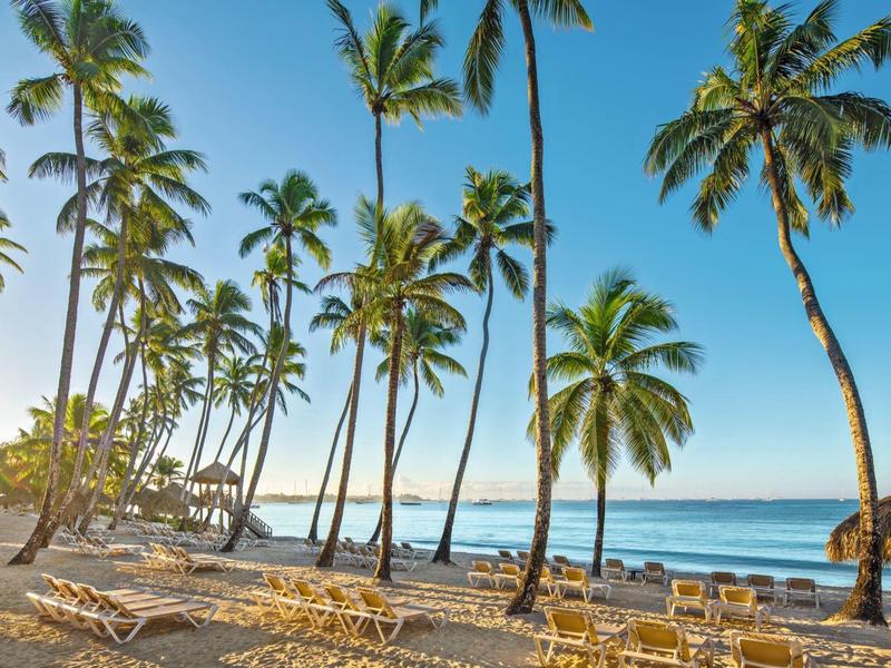 Palmy i leżaki na tropikalnej piaszczystej plaży z widokiem na morze przy czystym niebie.
