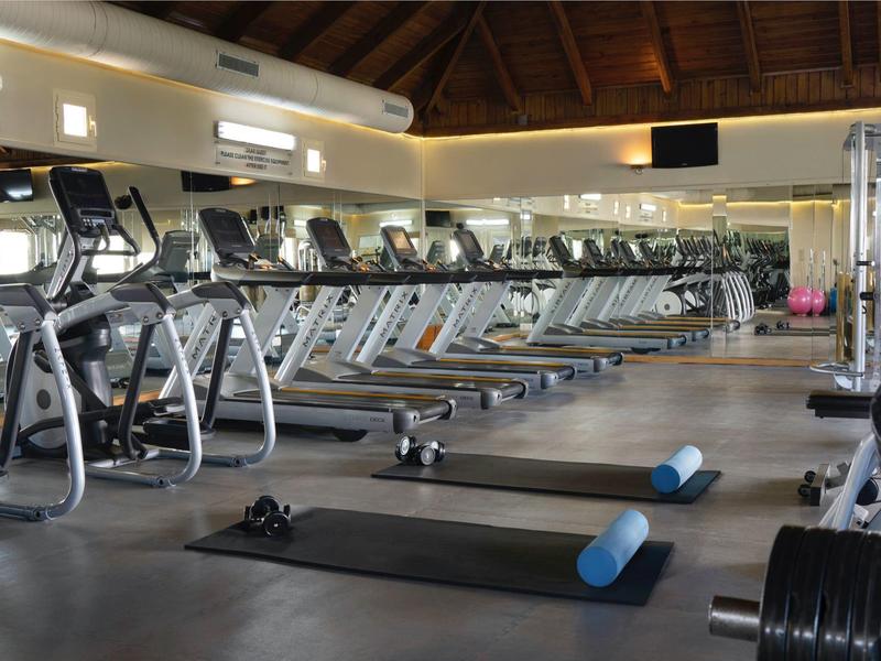 Großer Fitnessraum mit Laufbändern, Trainingsmatten und Gewichten, Holzdach und Spiegelwand.