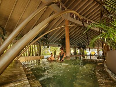Innenbereich eines Wellnessbads mit Holzdecke, Palmen und entspannenden Menschen im Wasser.