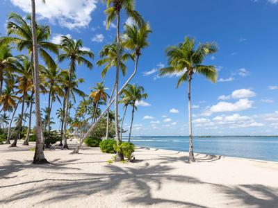 A white sandy beach with palm trees under a blue sky and calm sea.