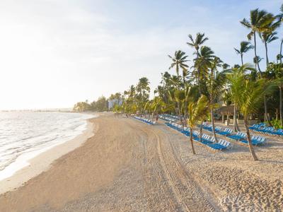 Spiaggia di sabbia bianca con palme e sedie a sdraio blu vicino all'oceano calmo all'alba.