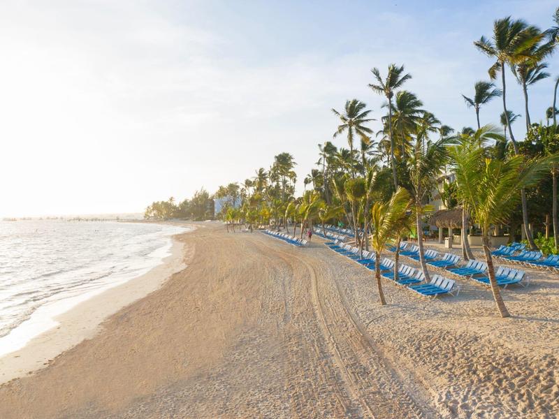 Spiaggia di sabbia bianca con palme e sedie a sdraio blu vicino all'oceano calmo all'alba.