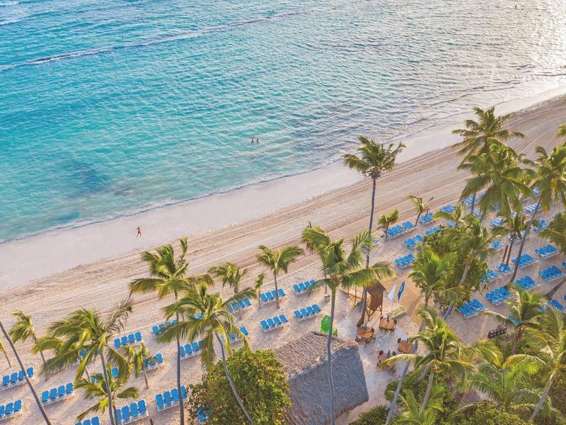 Spiaggia con sdraio blu, palme e acqua azzurra limpida lungo una costa soleggiata.