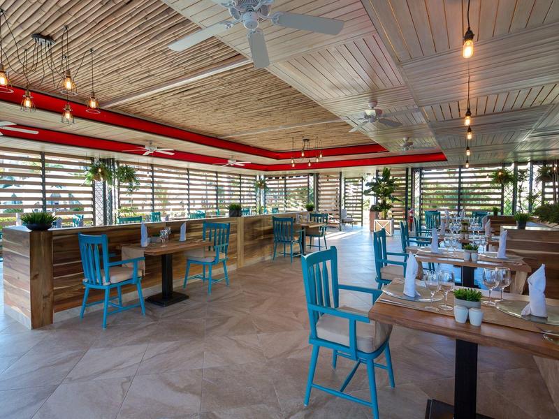 Jasna restauracja z drewnianymi meblami, niebieskimi krzesłami i dekoracyjnymi roślinami.