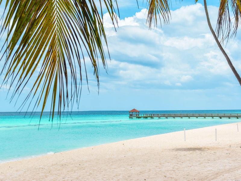 A tropical sandy beach with palm trees and a pier extending into the blue sea.