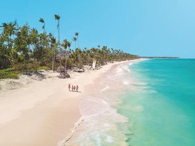 Une plage paisible avec du sable blanc et des palmiers le long de la côte sous un ciel bleu.