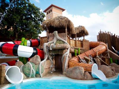 Kolorowy obszar zjeżdżalni wodnych z kamieniami i strzechą w basenie hotelowym.