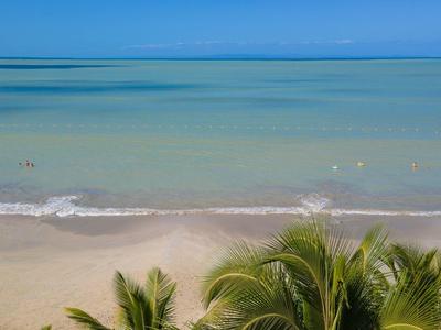 Vista di una spiaggia tranquilla con acqua azzurra e palme in primo piano