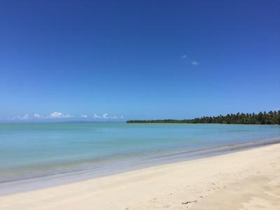 Spiaggia sabbiosa con acqua turchese calma e cielo azzurro su una costa tropicale