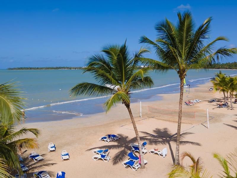 Spiaggia con palme, lettini e cielo azzurro lungo una costa tropicale.