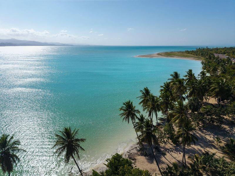 Strand mit Palmen entlang türkisblauem Meer unter klarem Himmel