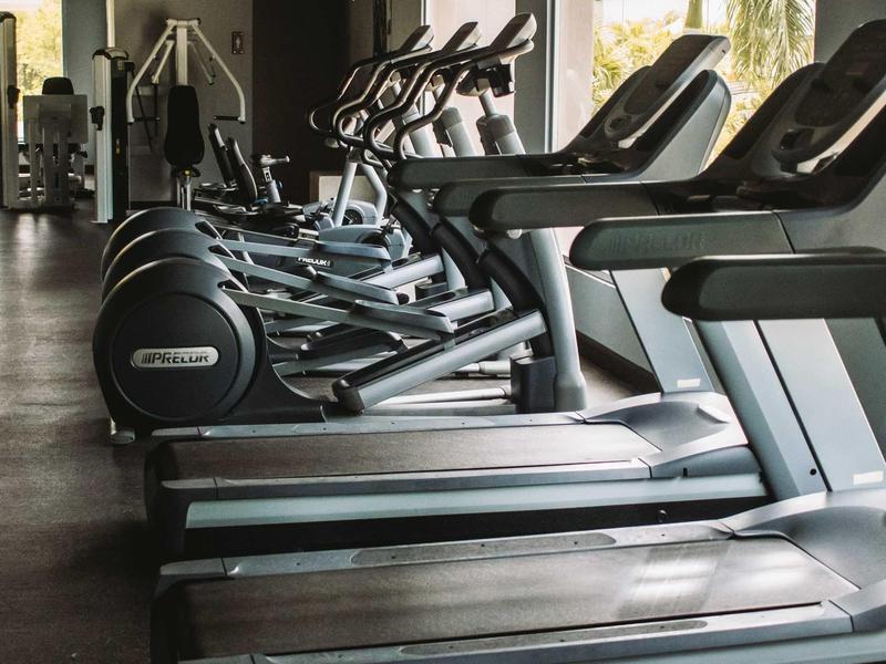 Fitnessraum mit mehreren Laufbändern, Ellipsentrainern und großen Fenstern für Tageslicht.