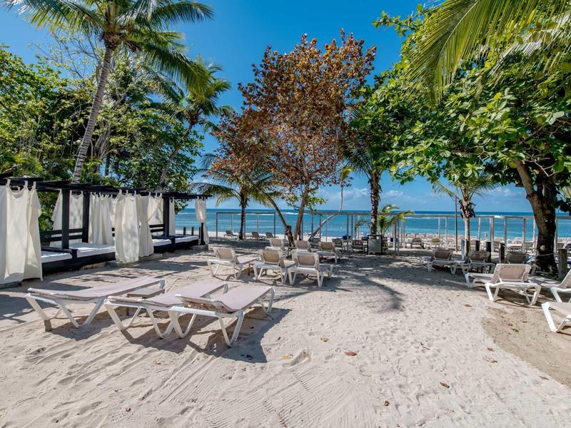 Sandstrand mit Liegestühlen, Palmen und Bäumen, Blick aufs blaue Meer unter klarem Himmel.