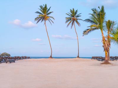 Strand mit hellem Sand, drei hohen Palmen und blauem Himmel über ruhigem Meer.