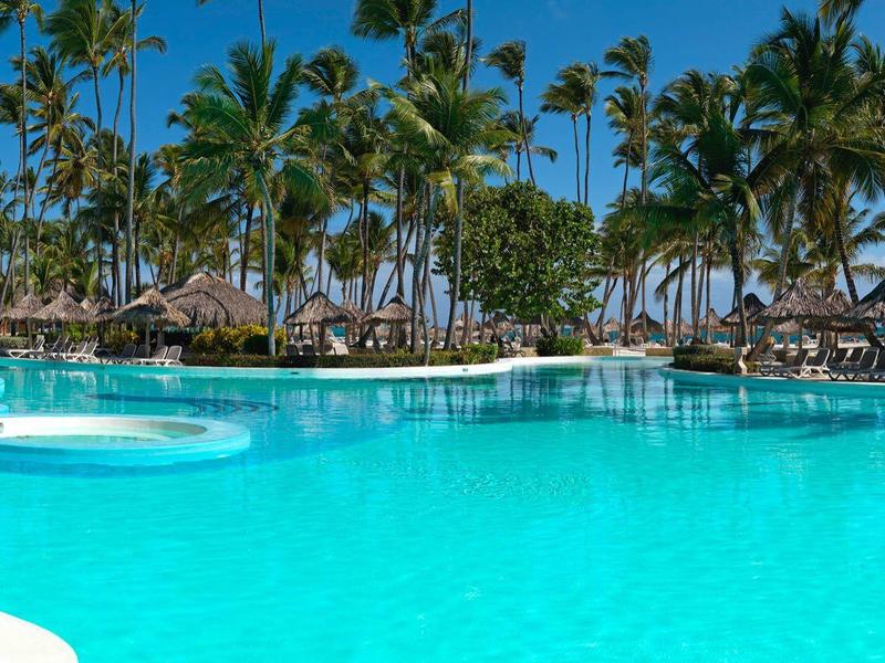 Grande piscina con acqua azzurra limpida, circondata da palme e lettini.