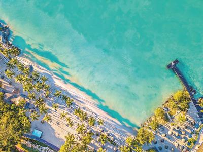 Vista aérea de una playa tropical con palmeras, agua azul y un muelle.