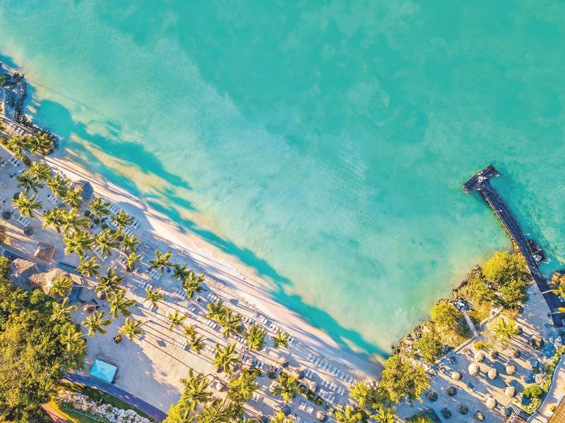 Vista aérea de una playa tropical con palmeras, agua azul y un muelle.