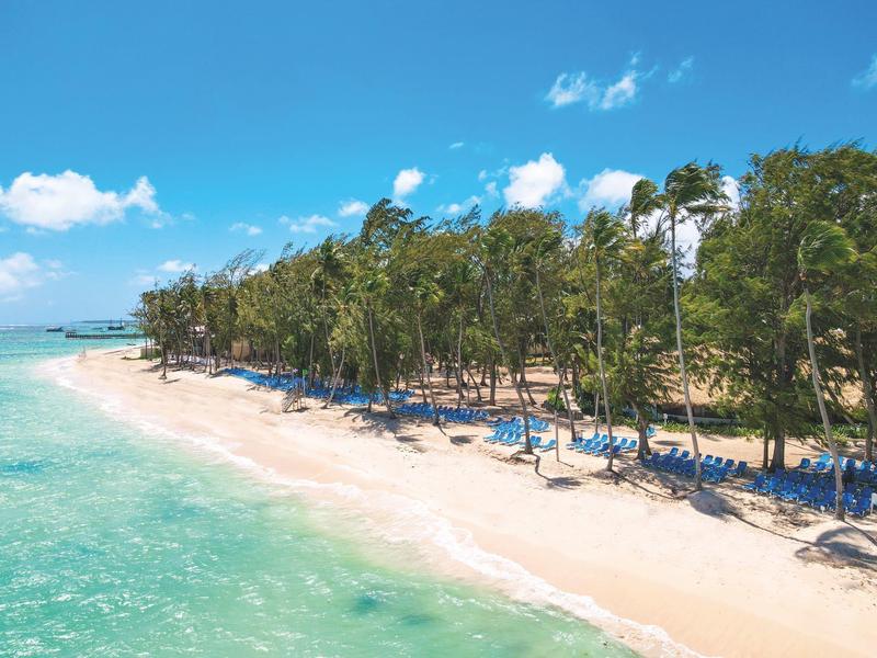 Playa con agua turquesa, arena blanca y una fila de palmeras y tumbonas.