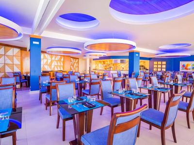 Helder modern restaurant met blauwe stoelen en houtdetails op muren en plafond.