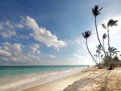 Spiaggia con palme, sabbia bianca e cielo azzurro vicino al mare in una giornata soleggiata.