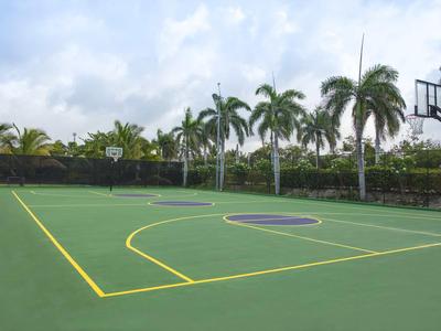 Otwarty kort do koszykówki z palmami na krawędzi i pochmurnym niebem w tle.