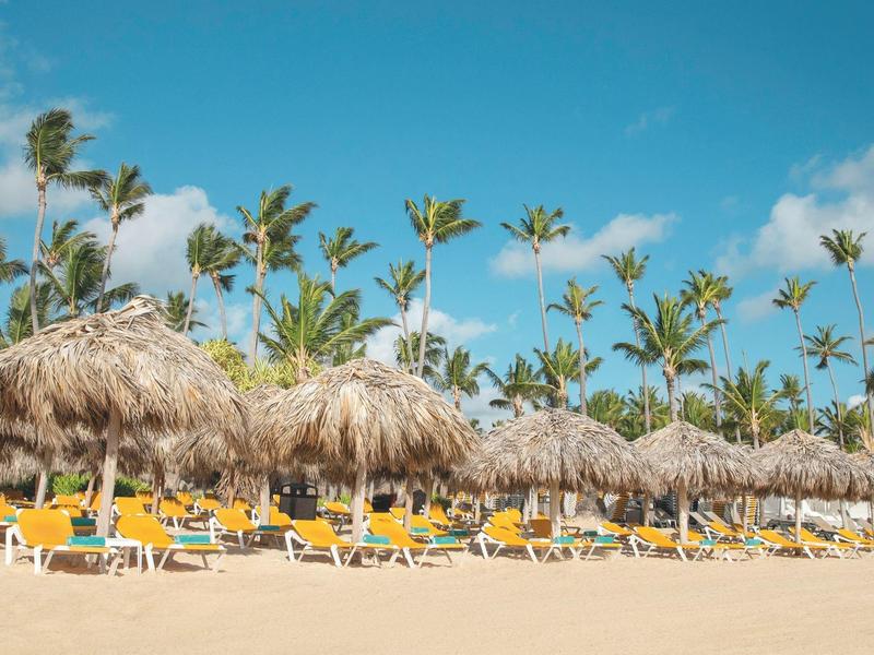 Rows of sun loungers under thatched roofs on the beach with tall palm trees in the background.