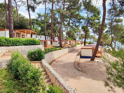 Wohnwagen auf terrasseartigen Stellplätzen in bewaldetem Campingbereich bei klarem Wetter
