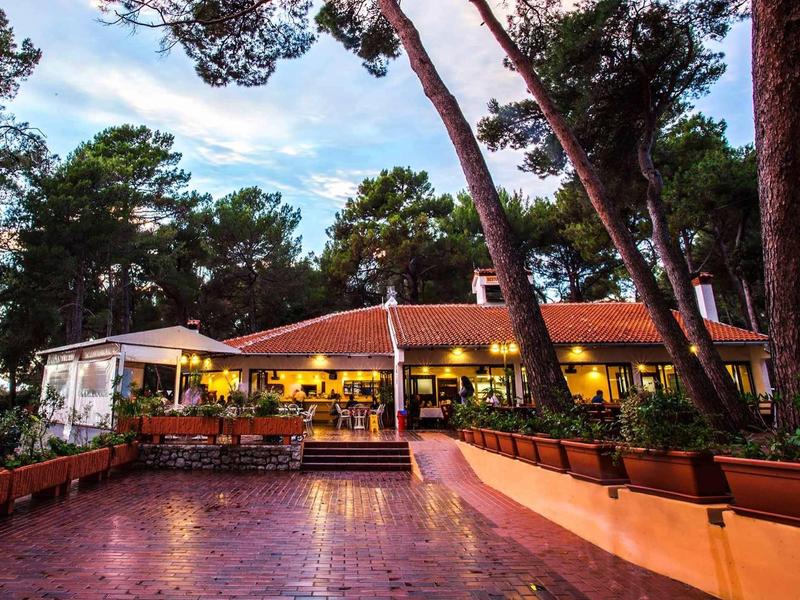 Przytulna restauracja w lesie z tarasem na zewnątrz i drzewami o zmierzchu