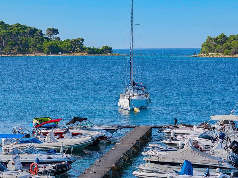 Marina z żaglówkami i motorówkami obok zalesionych wysp pod czystym niebem.