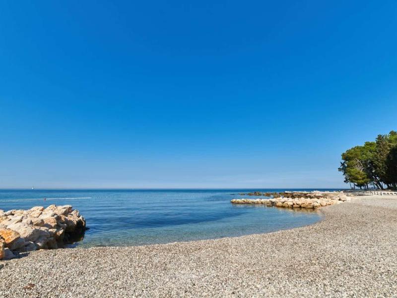 Plaża z kamykami i czystym niebieskim niebem przy spokojnym wybrzeżu z drzewami na skraju