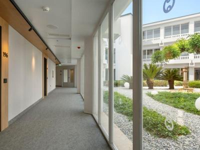 Hotel corridor with carpet flooring, glass panels, and a garden view with trees.