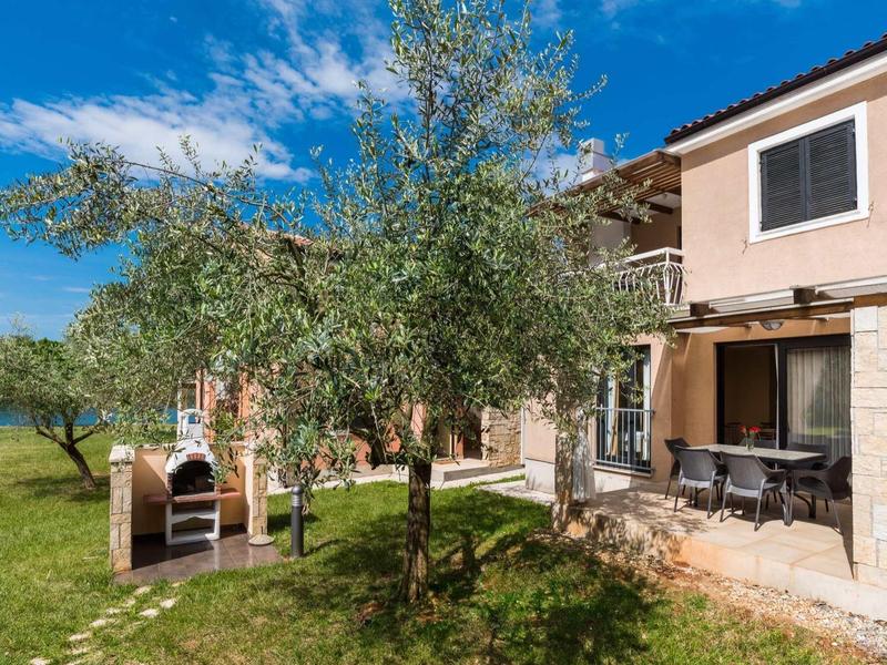 House with terrace, garden with olive trees and barbecue under sunny sky