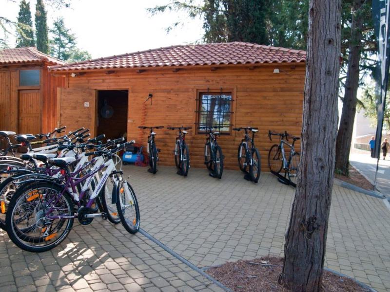 Bicicletas estacionadas junto a un edificio de madera con techo rojo en un área al aire libre soleada.