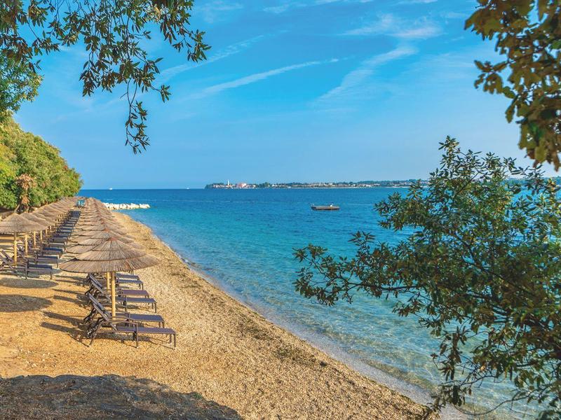 Prázdná písčitá pláž s lehátky podél vody za jasné oblohy a zelených stromů.