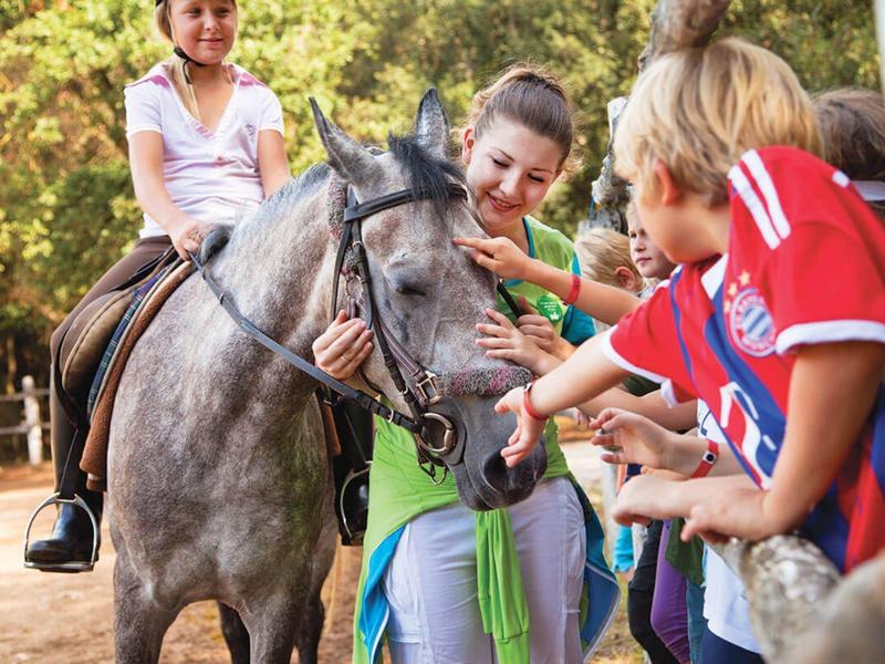 Děti hladí šedého koně při venkovní jezdecké vyjížďce.