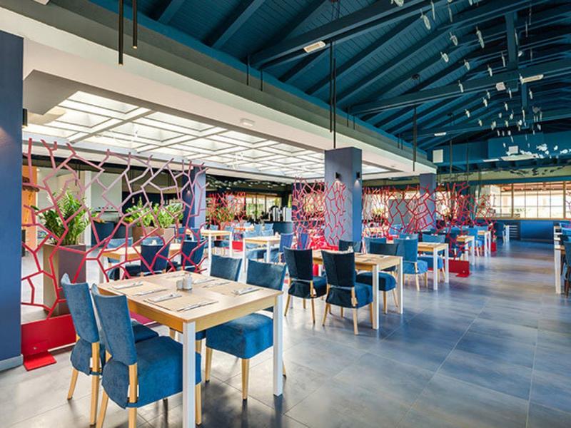 Prostorná restaurace s moderními dřevěnými stoly, modrými židlemi a velkými okny pod modrou střechou.