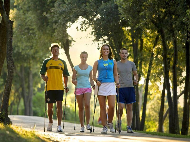 Čtyři lidé jdou s holemi na nordic walking po slunné lesní cestě.