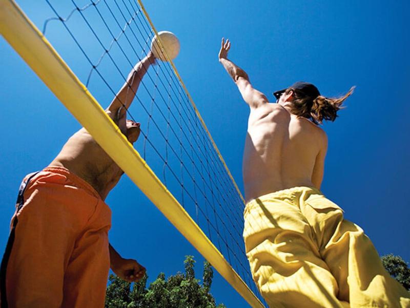 Dva muži hrají volejbal pod jasnou modrou oblohou poblíž stromů.