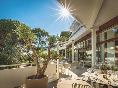 Terraza de hotel bien iluminada con mesas, sillas y un gran árbol en maceta bajo el sol.