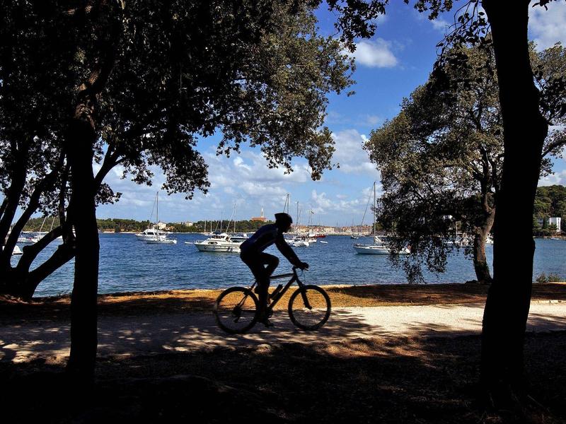 Ein Radfahrer fährt an einem See entlang, umgeben von Schatten großer Bäume und blauem Himmel.