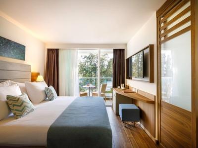 Modern hotel room with large bed, TV, wooden furniture, and balcony door overlooking greenery.
