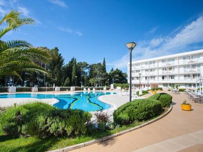 Una piscina all'aperto ben curata in un hotel con lettini e ambiente verde.