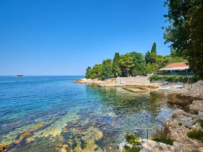 Helere zee met rotsachtige kust en groene bomen onder blauwe lucht