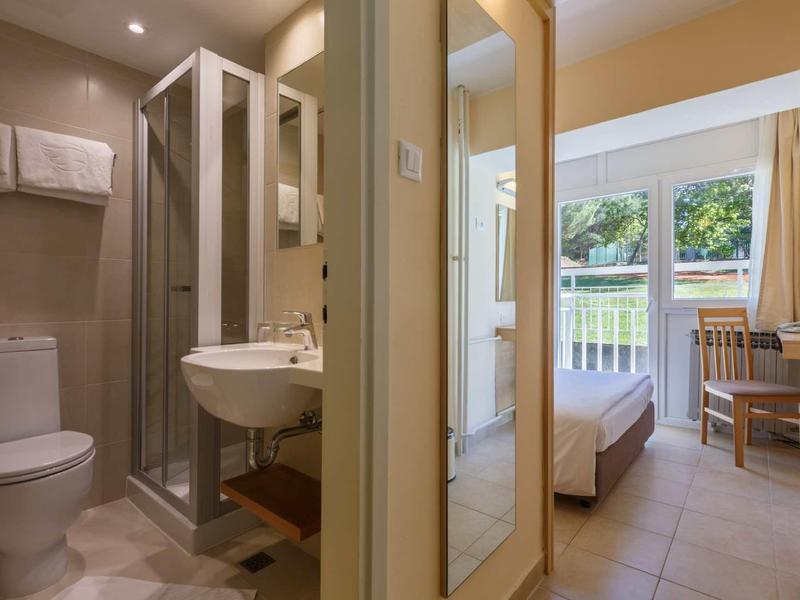 Habitación de hotel luminosa con baño, ducha, inodoro, cama, escritorio y ventana con vista al verde.