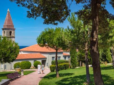 Ein sonniger Parkweg mit Bäumen führt zu einem Gebäude mit einem Kirchturm unter blauem Himmel.